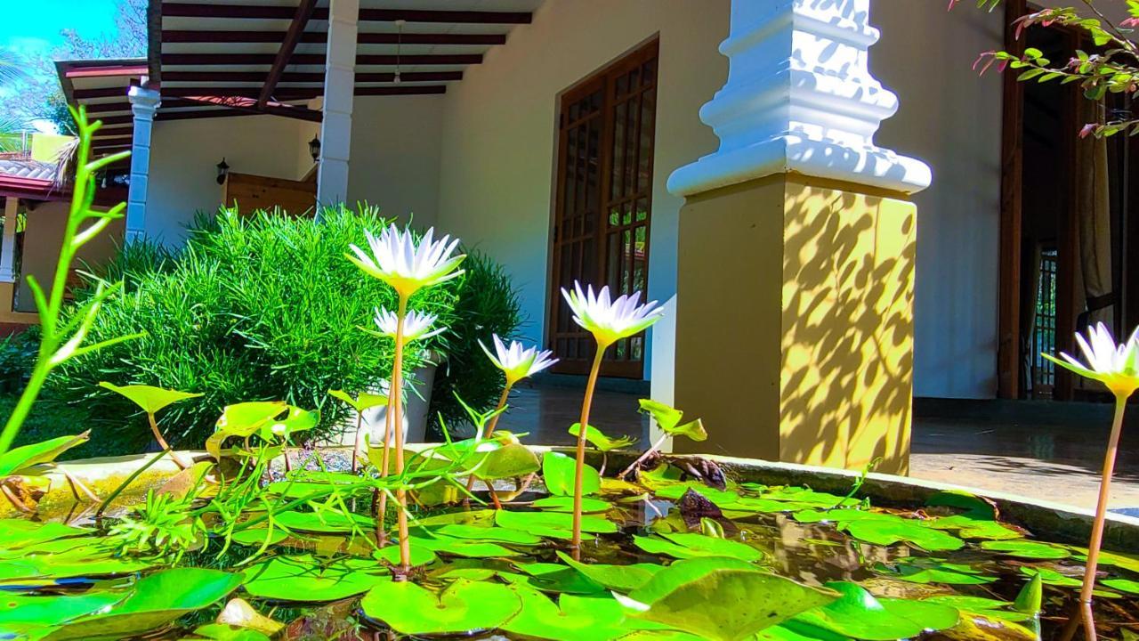Greenville Resort And Spa Dambulla Exterior foto